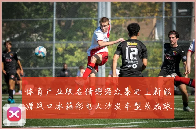 体育产业联名猜想若众泰赶上新能源风口冰箱彩电大沙发车型或成球队合作爆款